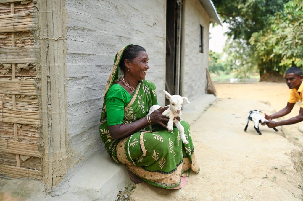Assam 4 1024x681