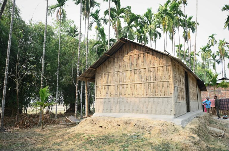 Assam 11 768x508