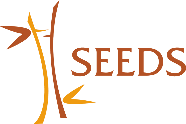INDIA: WE WILL BUILD HOMES FOR 1 MILLION PEOPLE BY 2035 seeds primary logo horizontal version