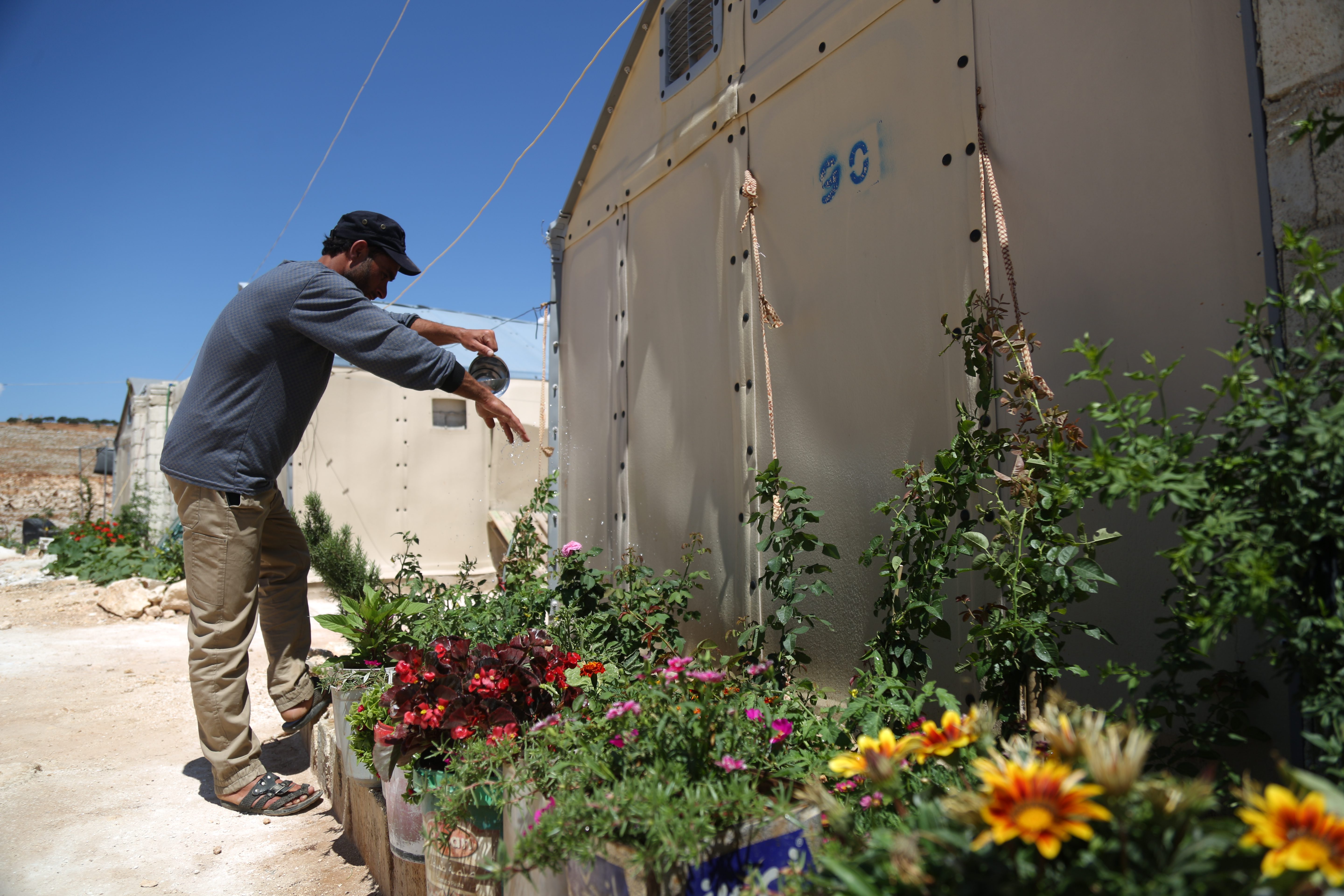 Agronomy, agriculture and the benefit of plants 5O0B9414