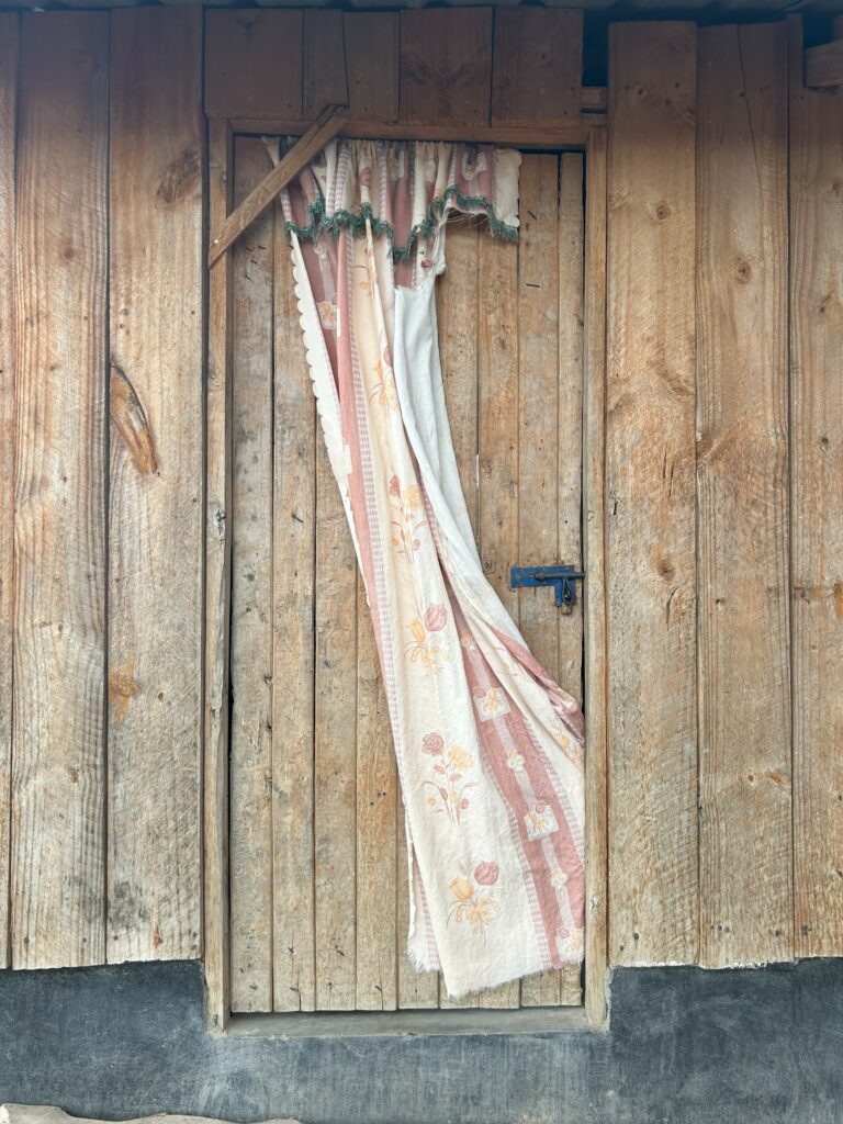 IMG 1122 768x1024
